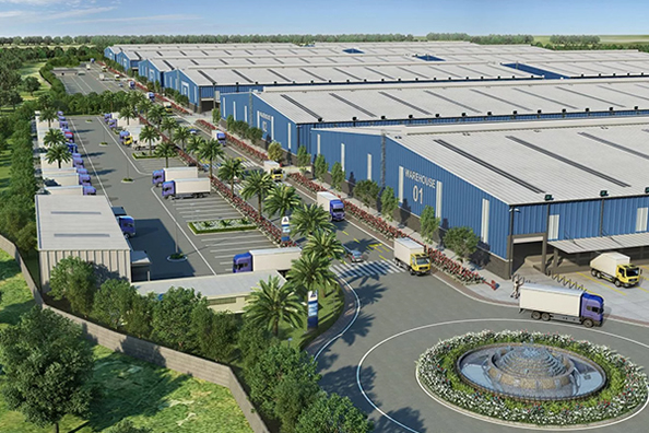 Hainan IQF Frozen Fruit Co., Ltd