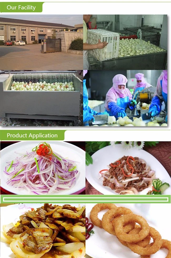 Wholesale Red/Green/Yellow Peeled Onion Frozen Diced Onion Fresh Vegetables Onions Balls for Exporting