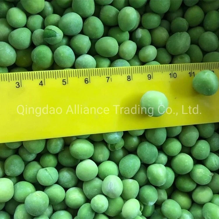 Global Hot Sale Organic Frozen Green Peas IQF Health Snow Pea Frozen Green Garden Peas for Exporting