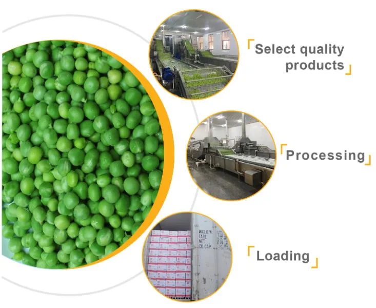 New Crop Fresh Frozen Vegetables Fresh Deep Frozen Green Peas